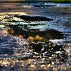 Beijing Puddle