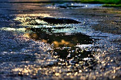 puddle