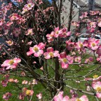 6, 30, 50: Patterns of Life