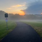 A Misty Movie Musing