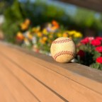 Roy Hobbs and A Country for Old Men